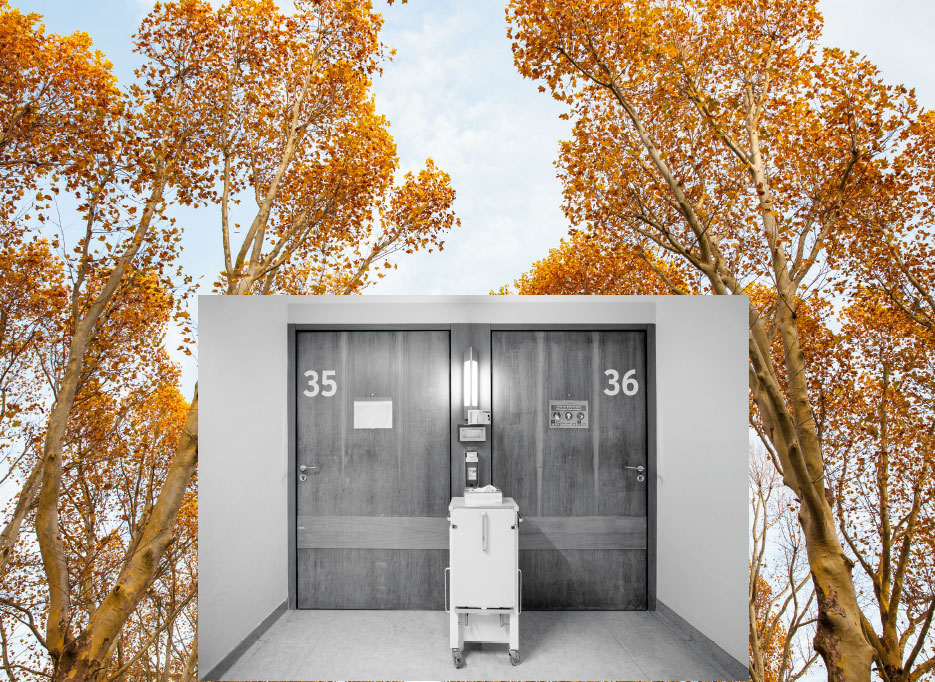 uebermorgen schee, the black and white image of two hospitalroom doors with the number 36 and 37 lays on top of a colored image with trees infront of a blue sky, the leaves have turned yellow for autumn